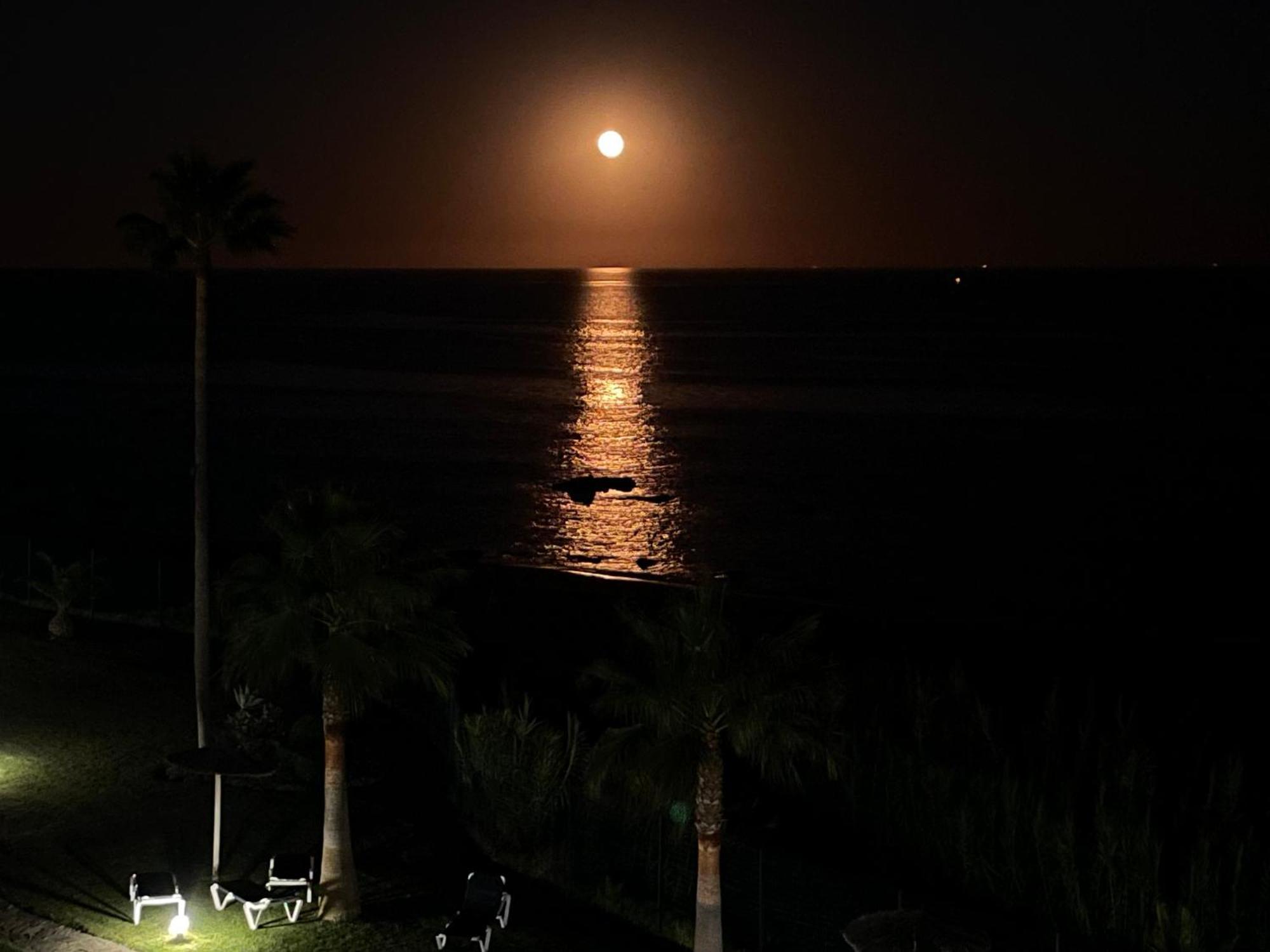 Exclusive Luxury Frontline Beach Penthouse Casares Del Mar - Estepona Dış mekan fotoğraf
